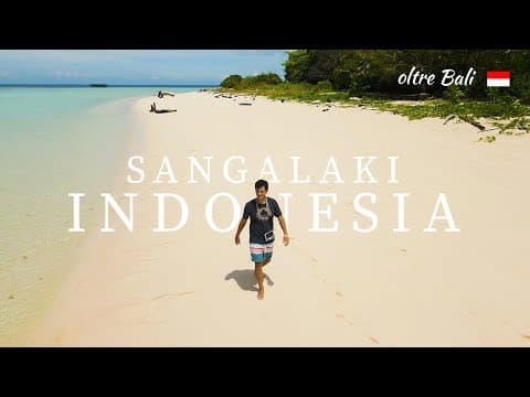 Abbiamo liberato centinaia di tartarughine in un paradiso del Borneo 🐢✨ 🇮🇩