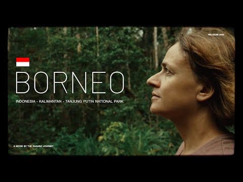 Crociera nella giungla : Incontro con gli Oranghi del Borneo 🦧🌳🇮🇩🌏
